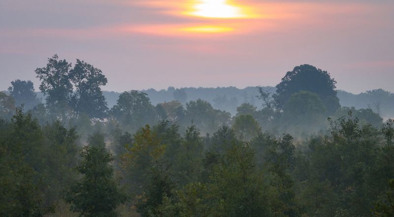 Indiana
